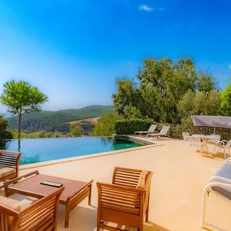 Andiz Villa *
